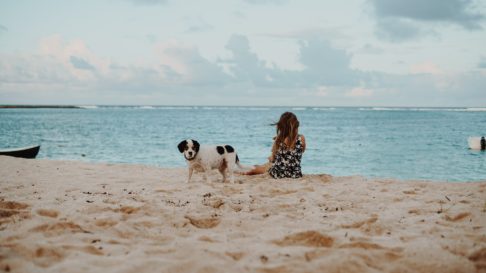 7 Sfaturi utile pentru o vacanta perfecta la plaja, impreuna cu cainele tau