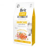 Brit Care Cat GF Haircare Healthy and Shiny Coat - 2 kg