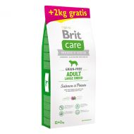 Brit Care Grain-Free Adult Large Breed Salmon and Potato 12 kg plus - 2 kg
