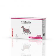 Cefabactin 250 mg 25x10 tab
