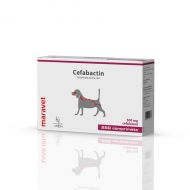 Cefabactin 500 mg 25x10 tab