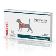 Doxybactin 200 mg - 10 tablete Caine