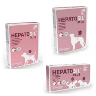 Hepatosil Plus Rase Mari, 30 tablete