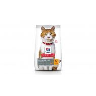 Hill's SP Feline Young Adult Sterilised Chicken - 300 g