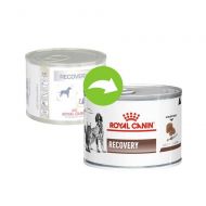 Royal Canin Recovery Canine & Feline - 195 g