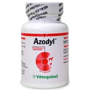 AZODYL - 90 CAPSULE