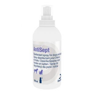 Antisept - 100 ml