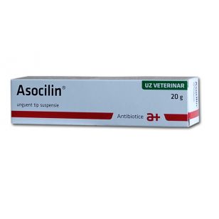asocilin