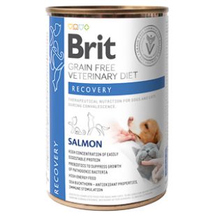Brit GF Veterinary Diets Dog Can Recovery - 400 g