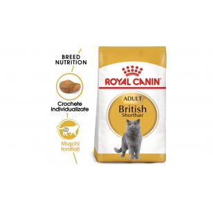 Royal Canin British Shorthair Adult hrana uscata pisica -   400 g