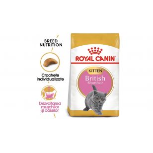 Royal Canin British Shorthair Kitten hrana uscata pisica junior -  10 kg