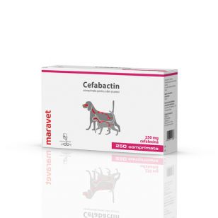 Cefabactin 250 mg 25x10 tab