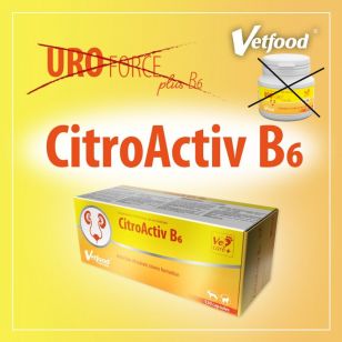 VetFood CitroActiv B6 (6 BLISTERE x 20 CAPSULE)