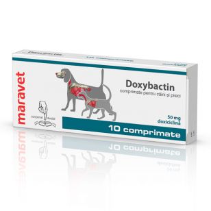 Doxybactin 50 mg -10 tablete caine si pisica