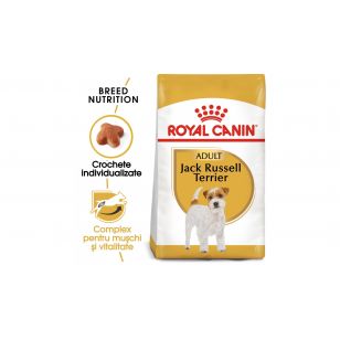 Royal Canin Jack Russell Adult - 1.5 kg