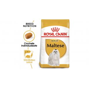 Royal Canin Maltese Adult - 1.5 kg
