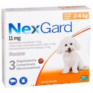 Nexgard Small Dog Caine 11Mg (2-4Kg) - 3 Comprimate Masticabile