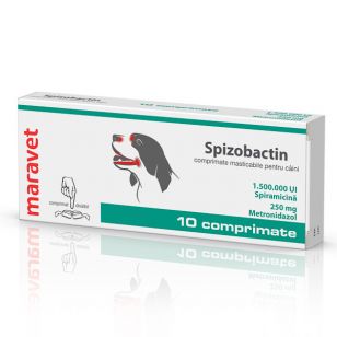 SPIZOBACTIN 250 mg 1 x 10 tablete