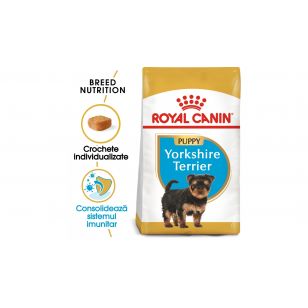 Royal Canin Yorkshire Puppy hrana uscata caine junior -  500 g