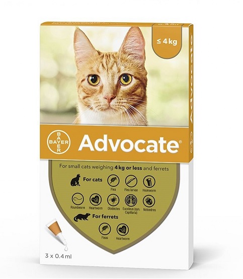 ADVOCATE 40 PISICA CAT (0 - 4 KG) - 3 PIPETE