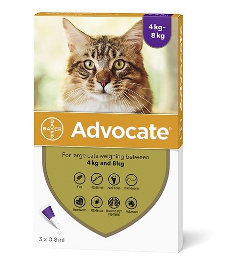 ADVOCATE 80 PISICA CAT (4 - 8 KG) - 3 PIPETE