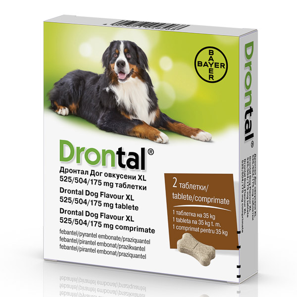 Drontal Dog Flavour XL 525/504/175 mg x 2 Tablete - 1 cutie