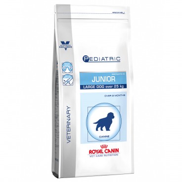 Royal Canin Pediatric Junior Large Dog - 1 Kg