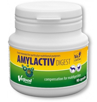 AMYLACTIV DIGEST - 90 CAPSULE