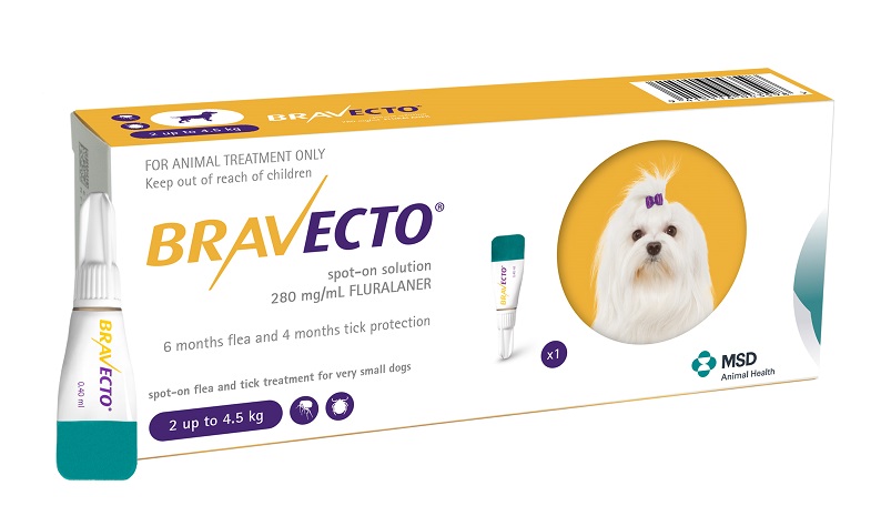 BRAVECTO CAINE SOLUTIE SPOT-ON XS 112.5MG (2-4.5 KG) - 1 PIPETA