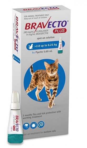 BRAVECTO PLUS SPOT ON CAT 250 MG (2.8 - 6.25 KG) -  1 PIPETA