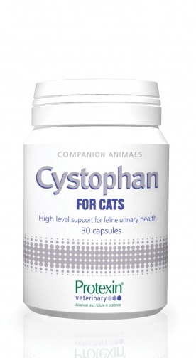 CYSTOPHAN FOR CATS PISICI - 30 CAPSULE