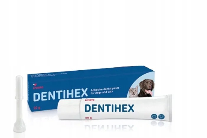 DENTIHEX GINGIMED - GEL 20 G  ( Dentisept )