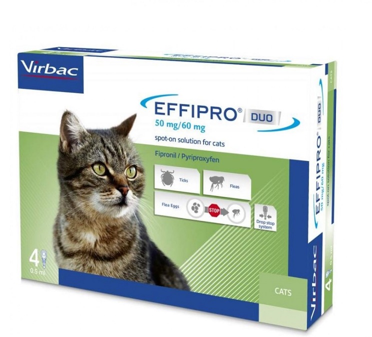 EFFIPRO DUO CAT PISICA - 4 PIPETE