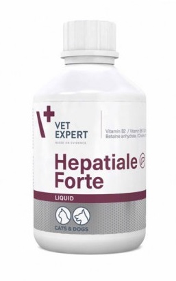 HEPATIALE FORTE LIQUID - 250 ML