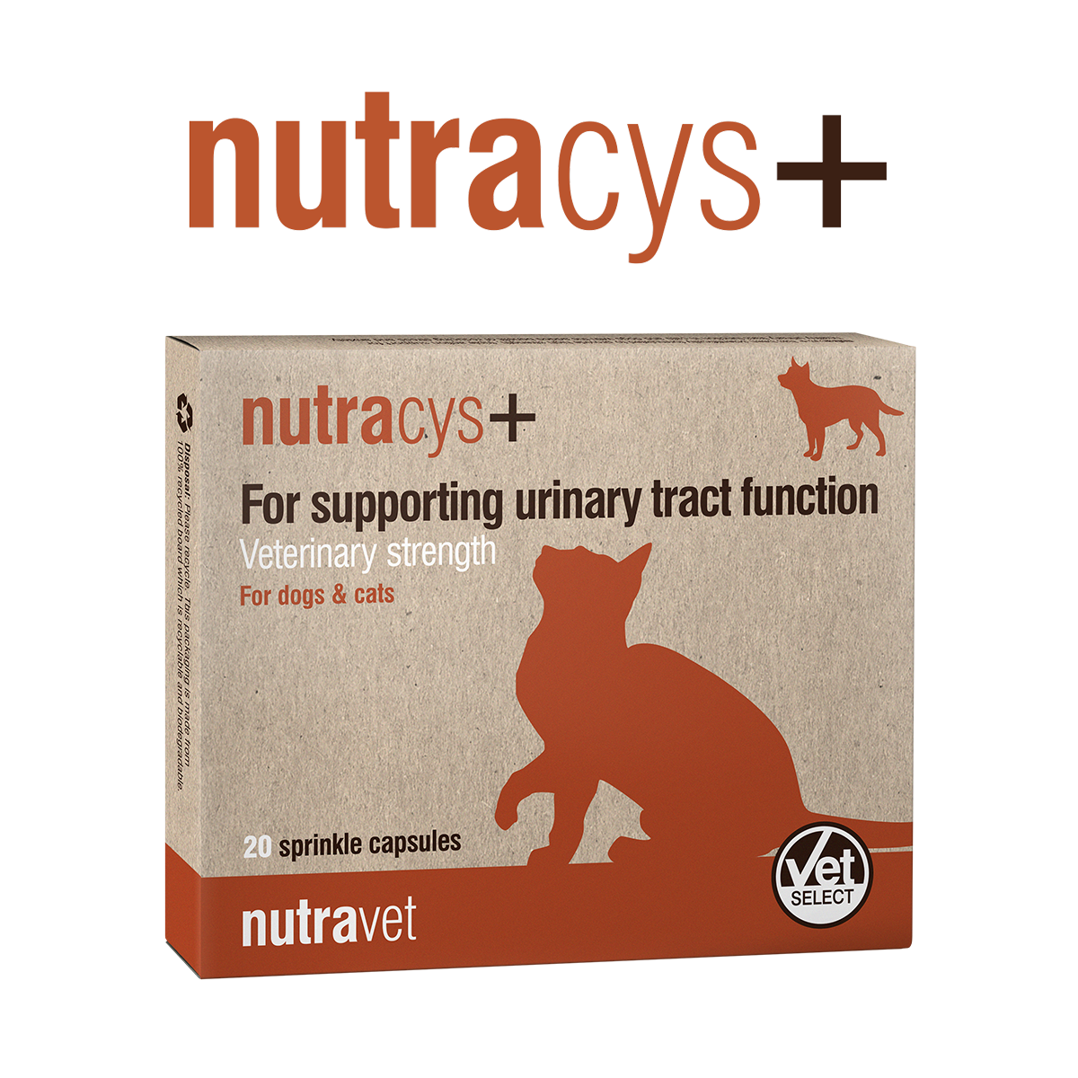 Nutracys + - 20 Capsule ( NUTRAEASE)