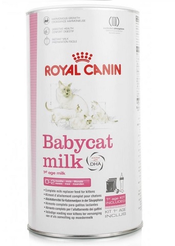 ROYAL CANIN BABYCAT MILK 300G - LAPTE PRAF PUI PISICA