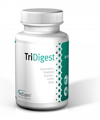 TRIDIGEST - 40 TABLETE