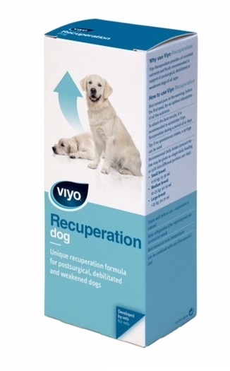 VIYO RECUPERATION DOG - 150 ML