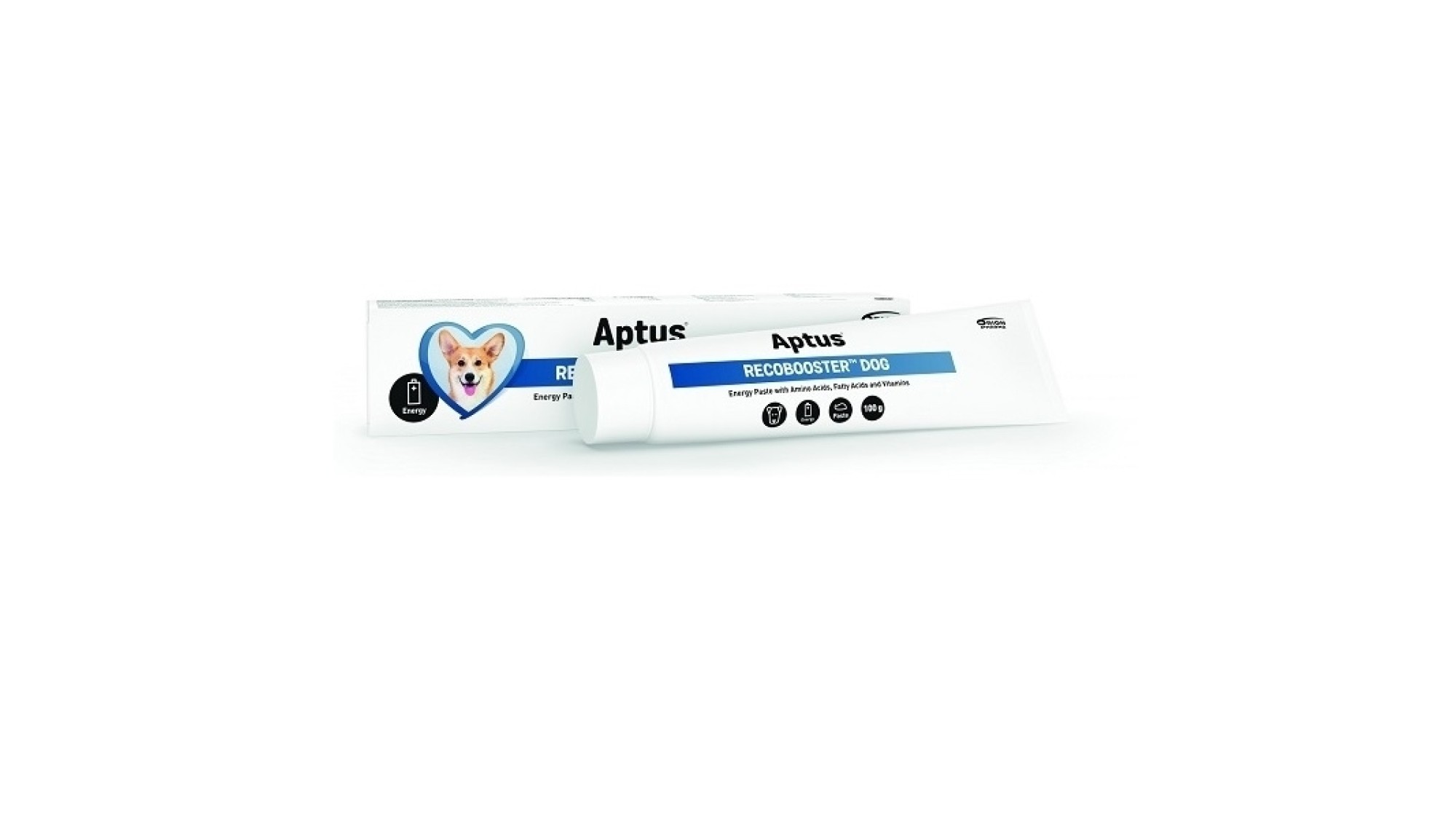 Aptus Recobooster Dog - 100 g