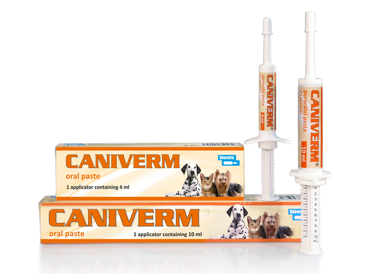 CANIVERM PASTA ORALA CAINE SI PISICA - SERINGA 10 ML​