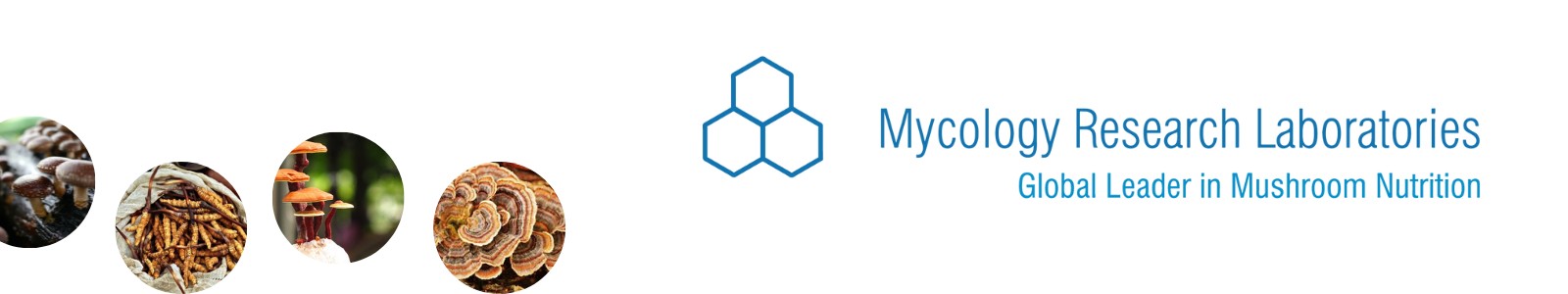 Mycology Research Laboratories