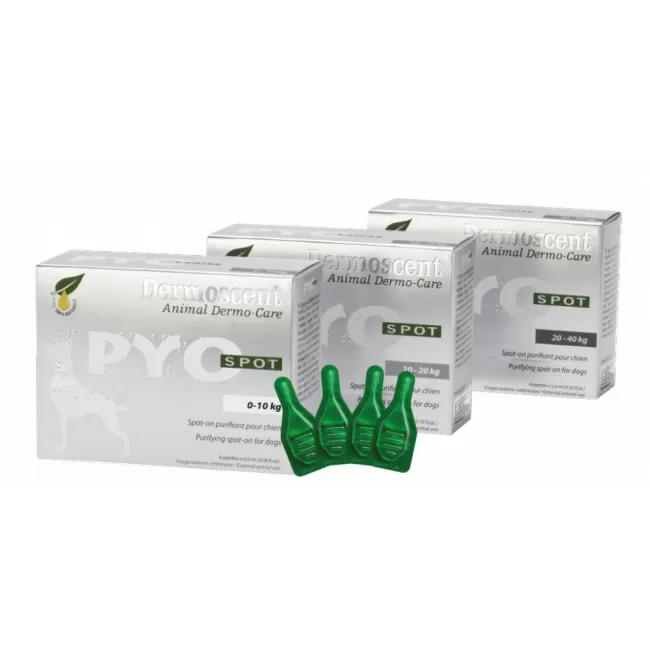 Dermoscent PYO Spot Caine 20-40 KG - 4 Pipete