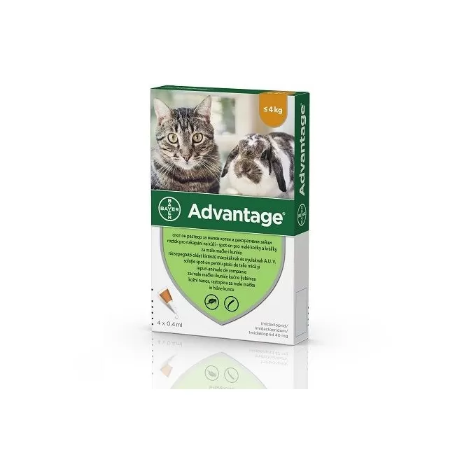 ADVANTAGE 40 PISICA SI IEPURE (&lt; 4 KG) - 4 PIPETE