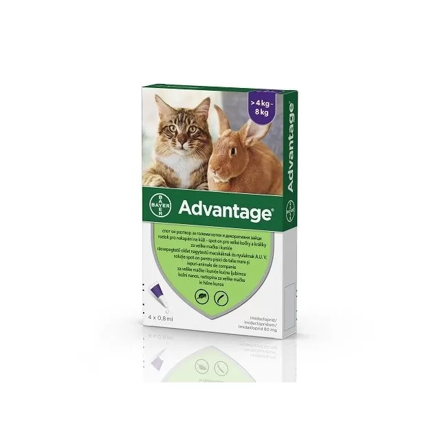ADVANTAGE 80 PISICA SI IEPURE (&gt; 4 KG) - 4 PIPETE