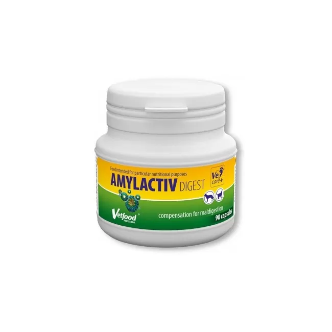 AMYLACTIV DIGEST - 90 CAPSULE