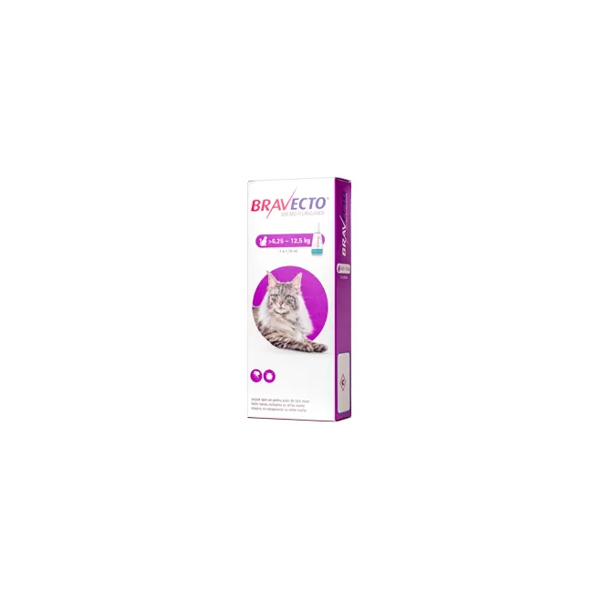 BRAVECTO 500 MG - SOLUTIE SPOT-ON PENTRU PISICI DE TALIE MARE (6.25 - 12.5 KG)