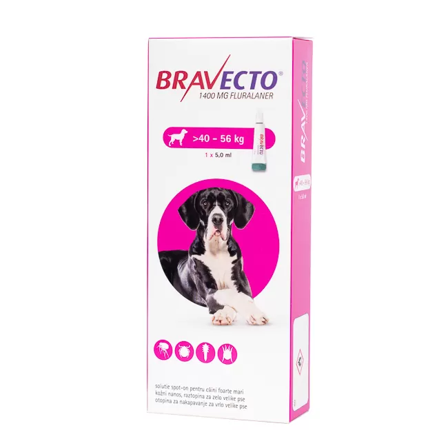 BRAVECTO CAINE SOLUTIE SPOT-ON XL 1400MG (40-56 KG) - 1 PIPETA