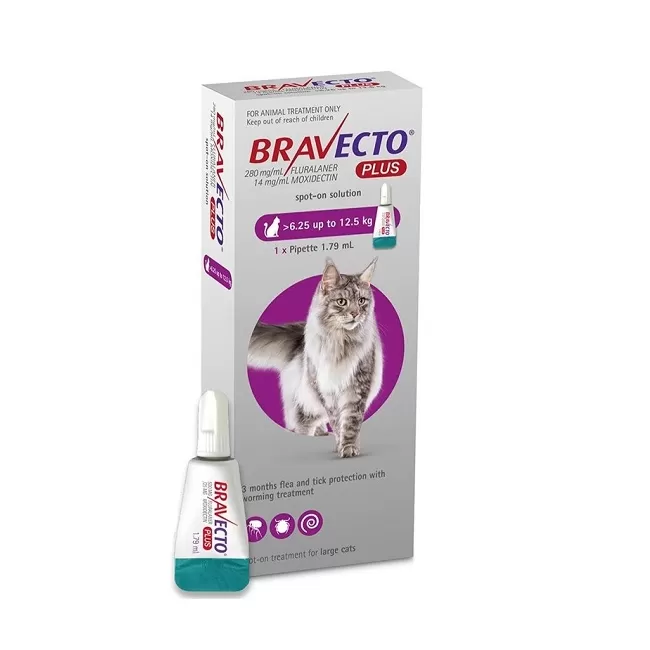 BRAVECTO PLUS SPOT ON CAT 500 MG (6.25 - 12.5 KG) -  1 PIPETA