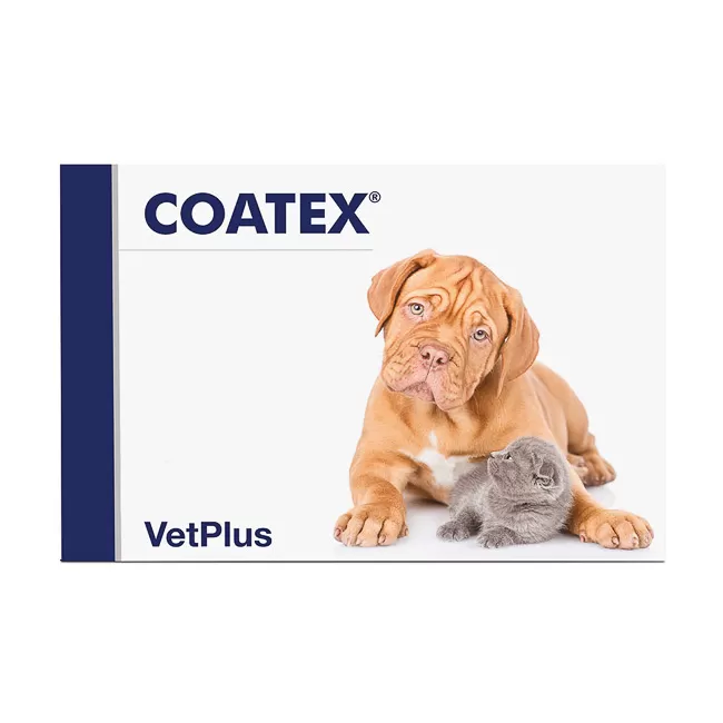 COATEX - 60 CAPSULE