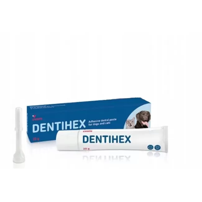 DENTIHEX GINGIMED - GEL 20 G  ( Dentisept )